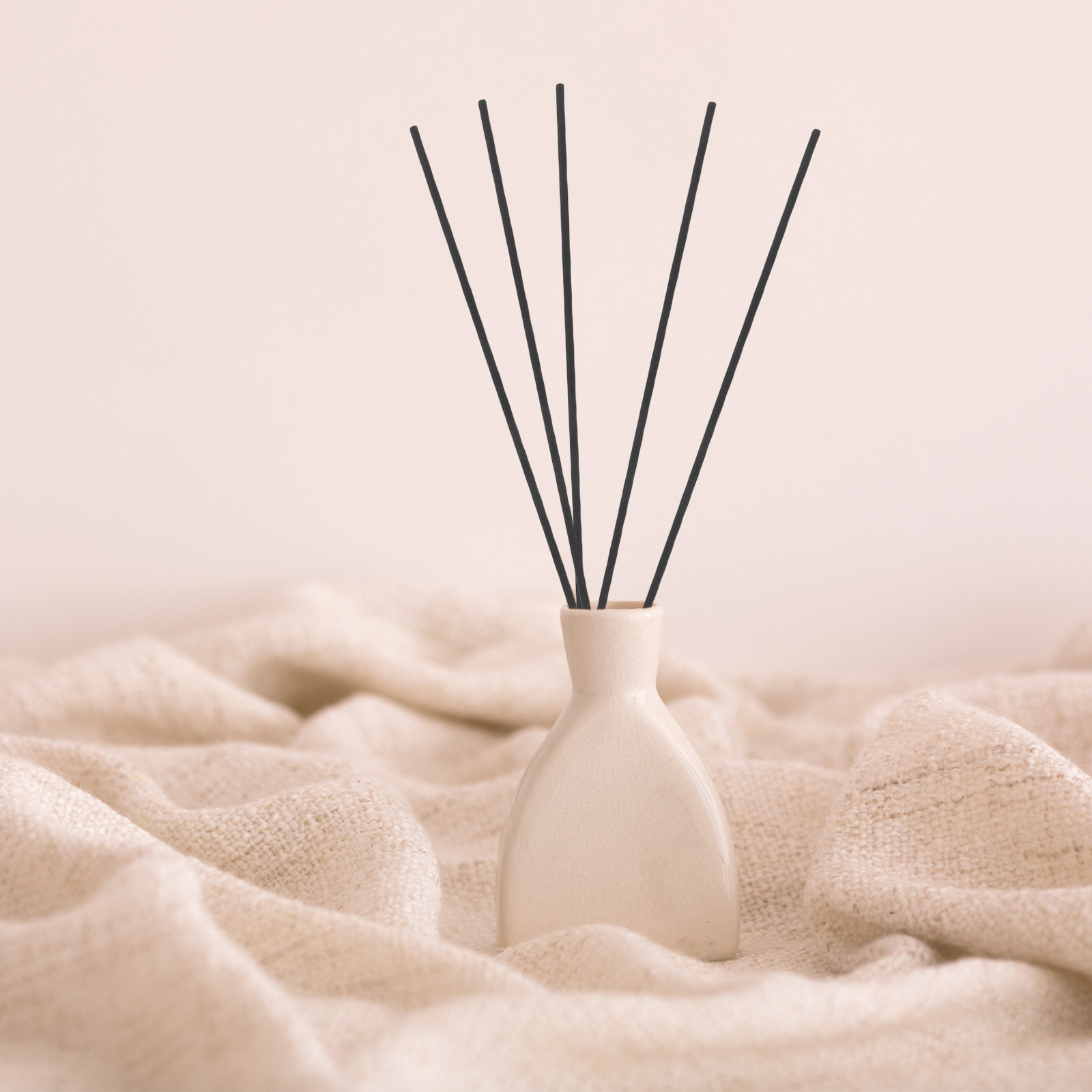 100Pcs Black Fiber Reed Diffus - огляд і ціна Home Fragrance Reeds